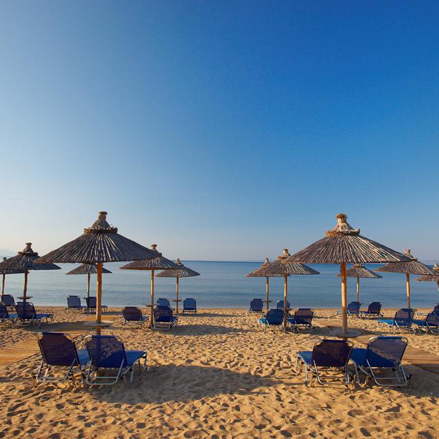 Hotel Blue Dolphin